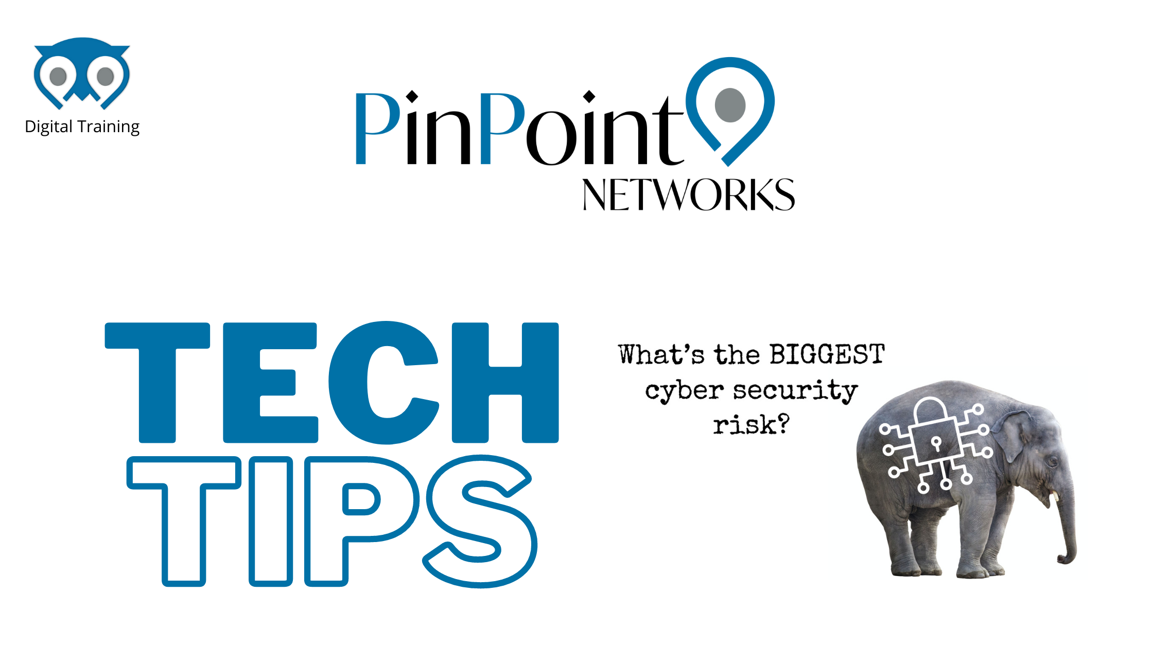 Read more about the article Tech Tips – What’s the Biggest Cyber Security Risk?