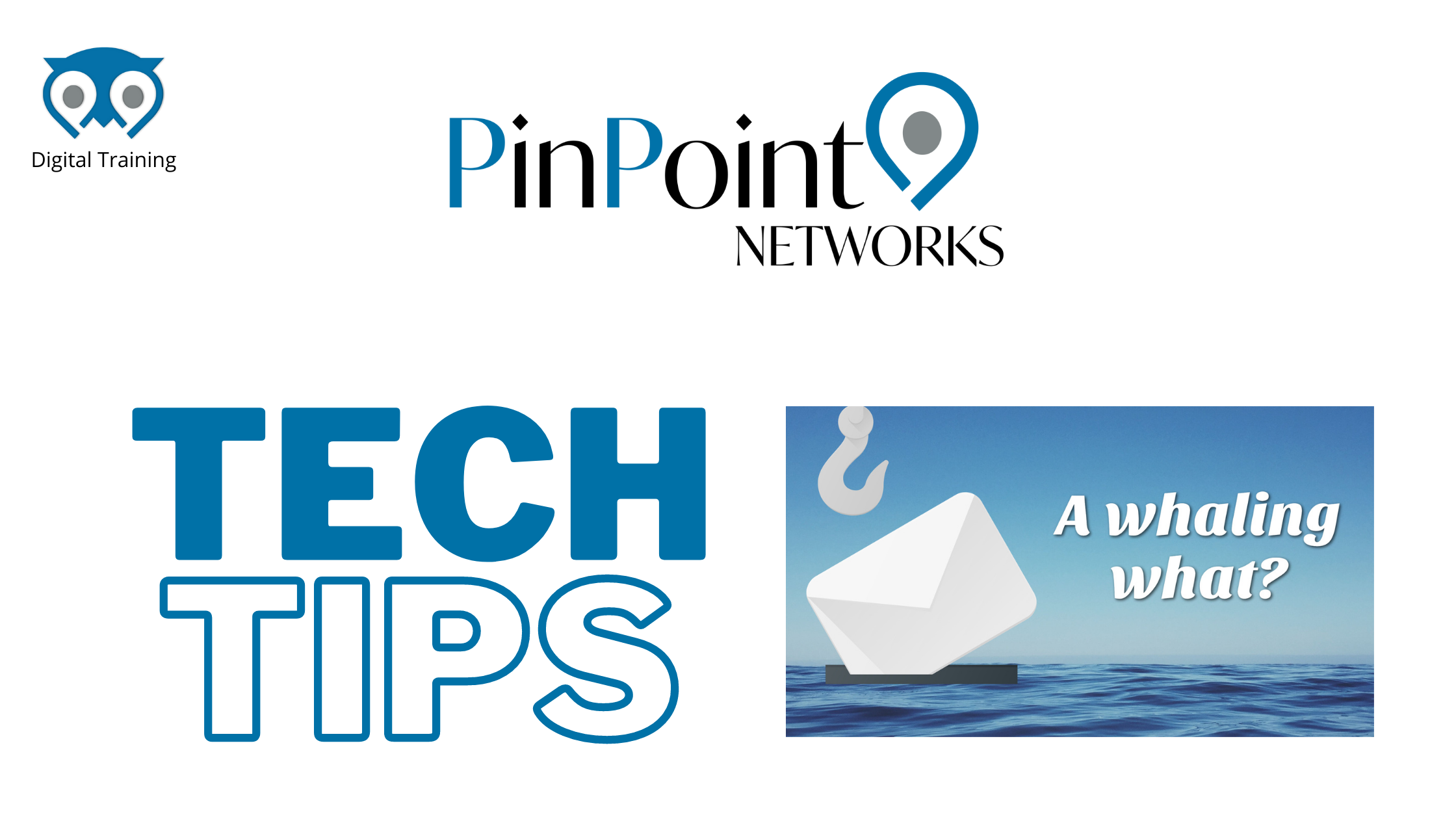 Read more about the article Tech Tips – A whaling what…???