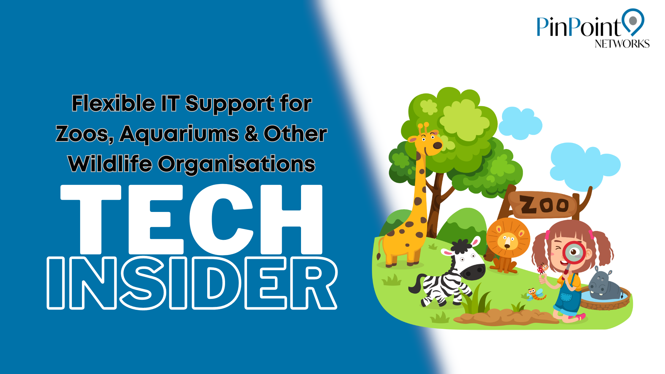 Read more about the article Flexible IT Support for Zoos, Wildlife Parks & Aquariums